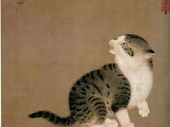 -猫咪博物馆(顶澳仔猫街店)