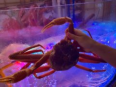 -松鱼亭·和牛烧肉(协鑫广场店)