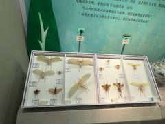 -烟台市博物馆