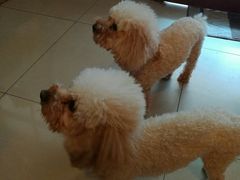 -树洞咖啡(科大店)