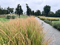 -汉长安城未央宫国家考古遗址公园