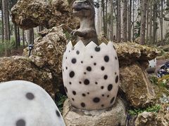 -东平国家森林公园