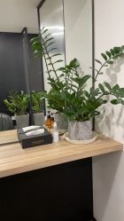 点击看大图 -Garden花園造型