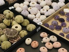 -万达广场(武汉菱角湖店)
