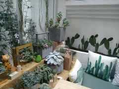 -拾壹cafe·工作室