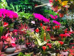 -三旗百汇商品城