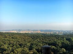 -灵谷景区