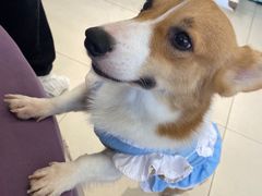 -怪兽屋·羊驼·猫咖·狗咖(俊华广场店)