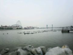 -海河外滩公园