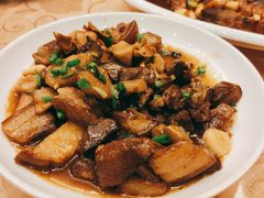 -金孔雀温泉旅游度假村