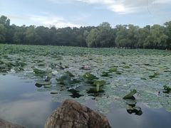 -长春市南湖公园