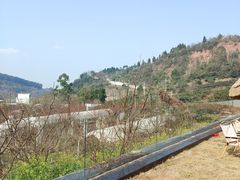 -桃源山庄·水蜜桃采摘·柴火鸡·烧烤团建(龙泉山店)