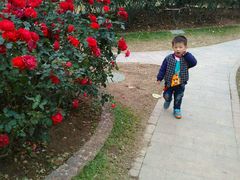 -人民公园(罗湖区)