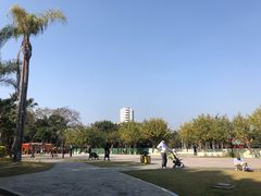 -金砂公园