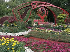 -上海共青森林公园