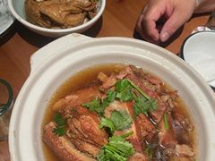 炖小排-真定郝家排骨(正定县总店)