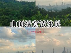 -火炉山森林公园