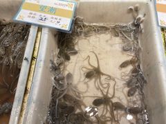 -拉完海鲜大排档(温岭店)