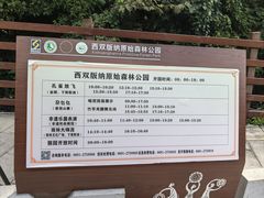 -西双版纳原始森林公园