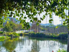 -顺峰山公园