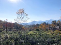 -塔川景区