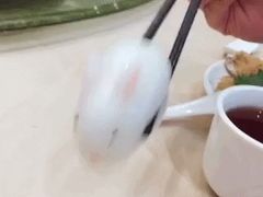 白兔椰汁糕-东方印象大酒楼(拱北店)