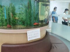 -慈铭体检(洋桥分院)