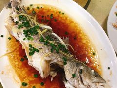 清蒸白花鱼-源海渔村·现捞海鲜(大角湾店)