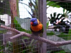 -大连森林动物园