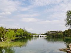 -尚湖风景区