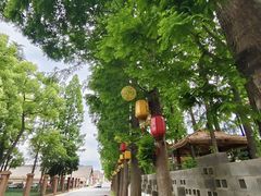 -云间粮仓