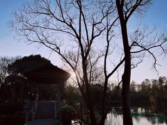 -西溪国家湿地公园