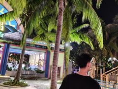 -三亚海昌梦幻海洋不夜城