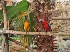 -杭州开元森泊度假乐园