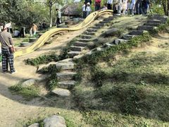 -合肥滨湖国家森林公园