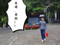 -东部华侨城