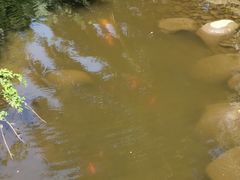 -苏州河梦清园环保主题公园