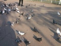 android_upload_pic-迎泽公园