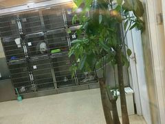 -芭比堂动物医院·24小时·眼科中心(深圳中心)