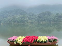 -广州市石门国家森林公园
