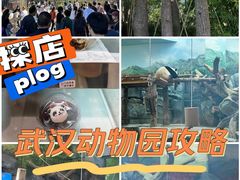 -武汉动物园