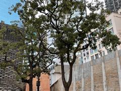 -大馆(前中区警署建築群)