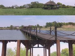 -梁鸿国家湿地公园
