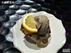 螺肉-松涛日本料理