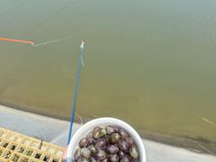 -梁鸿国家湿地公园