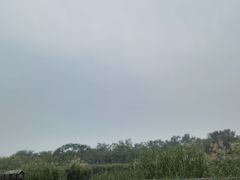 -西青郊野公园