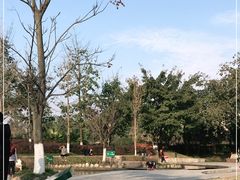 -成飞公园