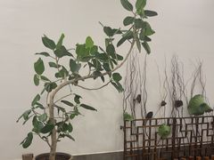 -狮古丰·创意菜·茶馆