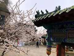 -济南大明湖景区
