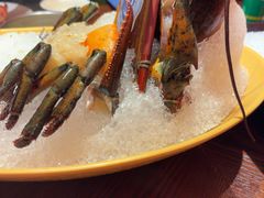 -东海怡品海鲜豆捞(舟宿夜江店)